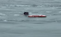 Denizde Tehlikeli Anlar: Yolcu Vapurdan Atladı